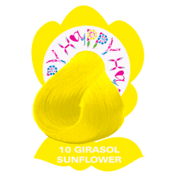 HAYPPY GIRASOL 10 100ml