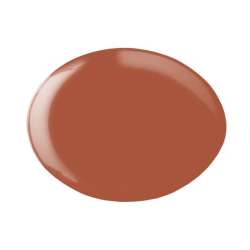 ESMALTE GEL PERMANENTE ANDREIA Nº225