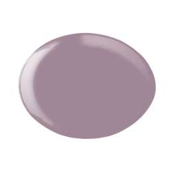 ESMALTE GEL PERMANENTE ANDREIA Nº258
