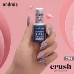 ESMALTE ANDREIA CR4 NO...