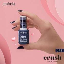 ESMALTE ANDREIA CR5 NO...
