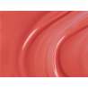 ESMALTE ANDREIA G17 NO SOLVENTS