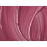 ESMALTE ANDREIA PL1 NO SOLVENTS